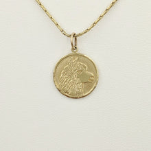 Load image into Gallery viewer, Alpaca Huacaya Head Coin Pendant - 14K Yellow Gold