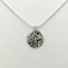 Load image into Gallery viewer, Llama Relic Style Coins  Pendants - Sterling Silver