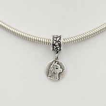 Load image into Gallery viewer, Tell Your Story Charms - Pandora Style  Sterling Silver Alpaca Huacaya Coin