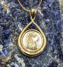 Load image into Gallery viewer, Alpaca Huacaya Silhouette Teardrop Coin Pendant Two-Tone 14K Yellow and White Gold- Limited Edition