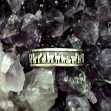 Load image into Gallery viewer, Llama Herd Line Eternity Band